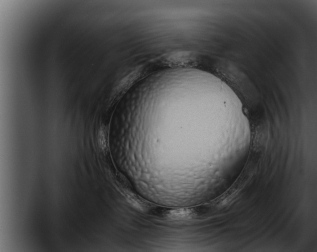 X0000052600335200507160017