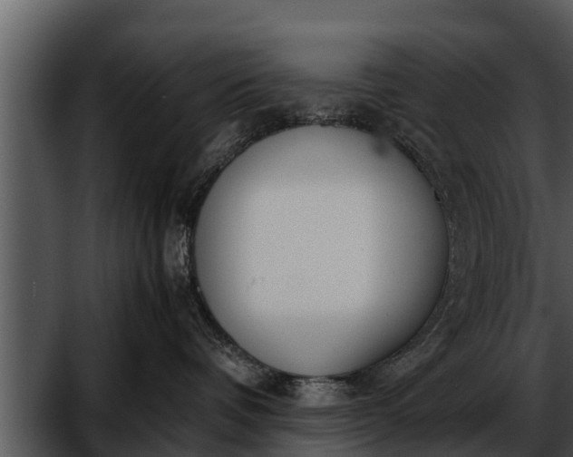 X0000052600336200507160017