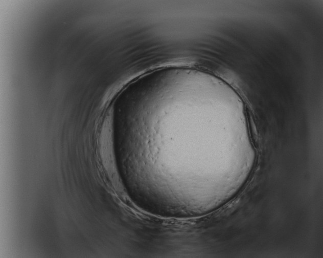 X0000052600337200507160017