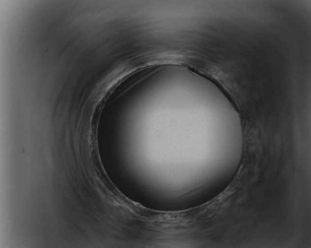 X0000052600338200507160017