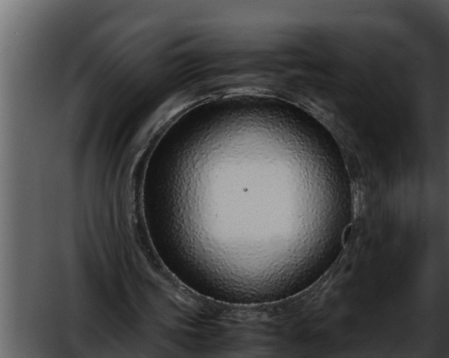 X0000052600339200507160017