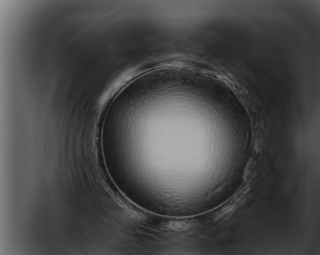 X0000052600341200507160017