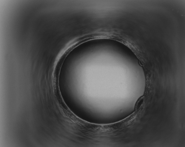 X0000052600343200507160017