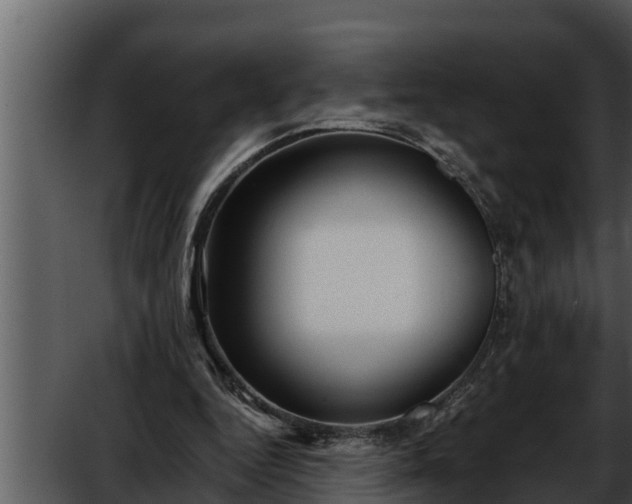 X0000052600344200507160017