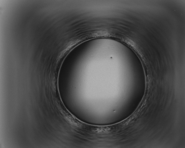 X0000052600345200507160017