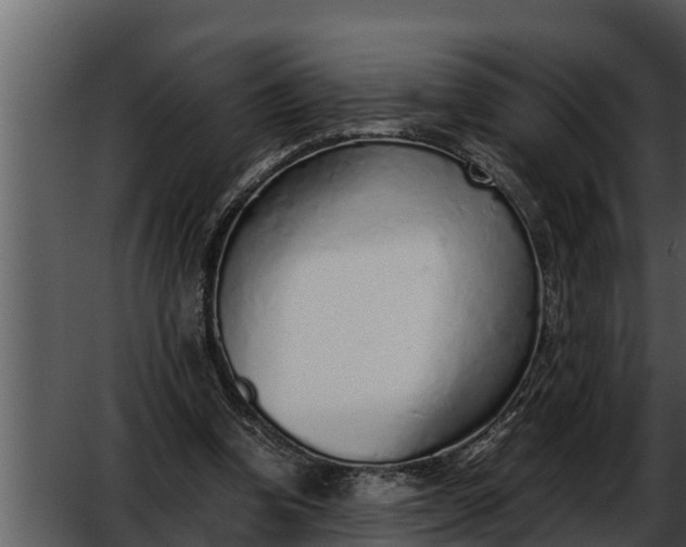 X0000052600346200507160017