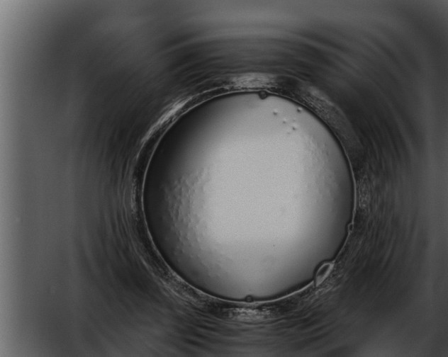 X0000052600347200507160017