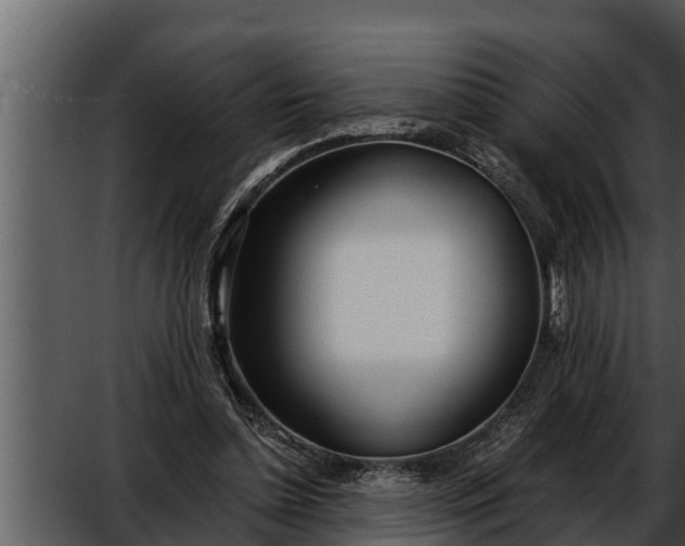 X0000052600348200507160017