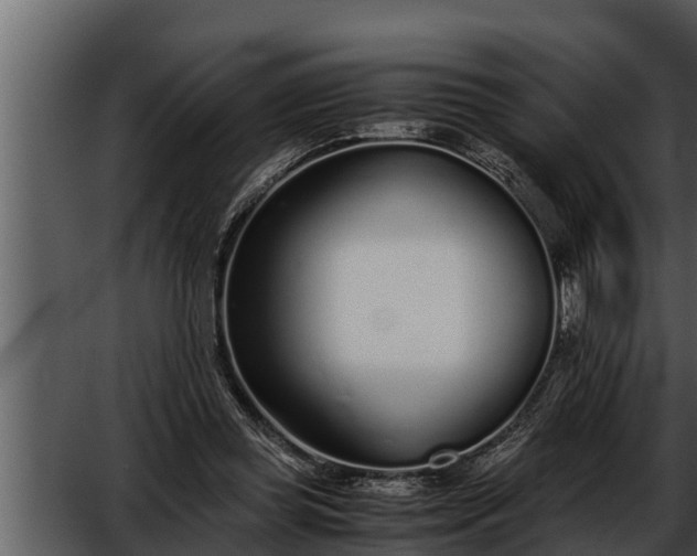 X0000052600349200507160017