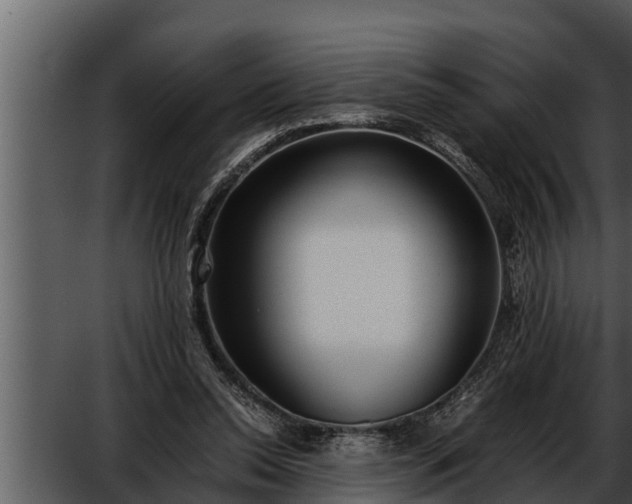 X0000052600350200507160017