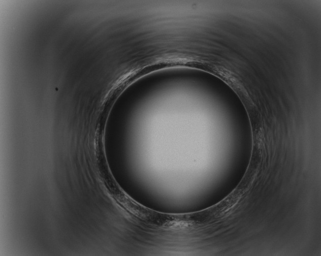 X0000052600352200507160017