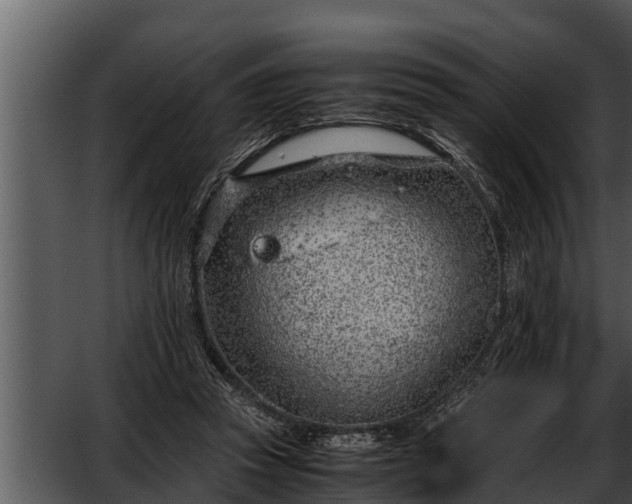 X0000052600353200507160017