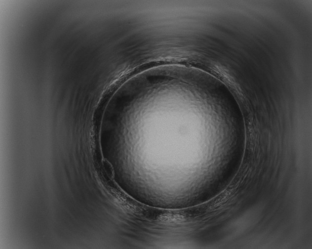 X0000052600354200507160017