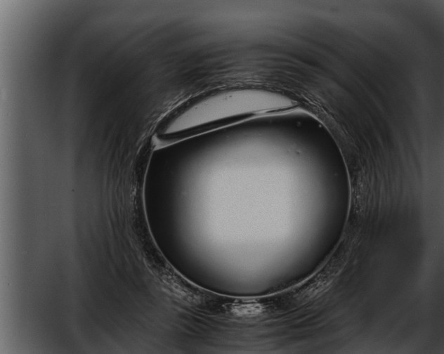 X0000052600355200507160017