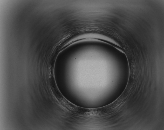 X0000052600356200507160017