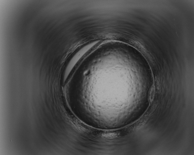 X0000052600357200507160017