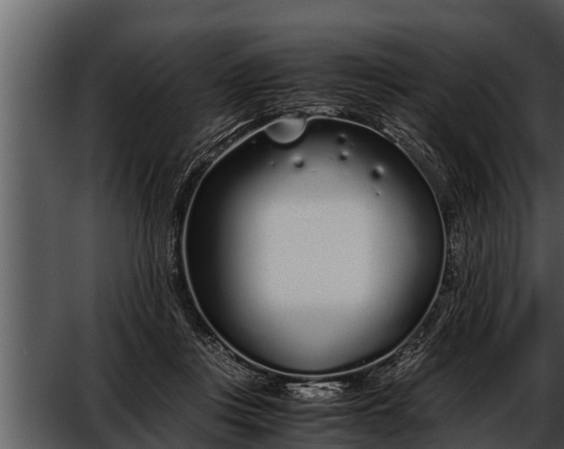 X0000052600359200507160017