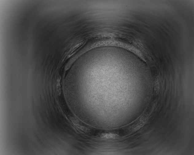 X0000052600360200507160017