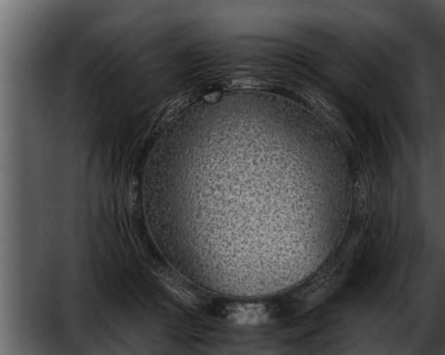 X0000052600361200507160017