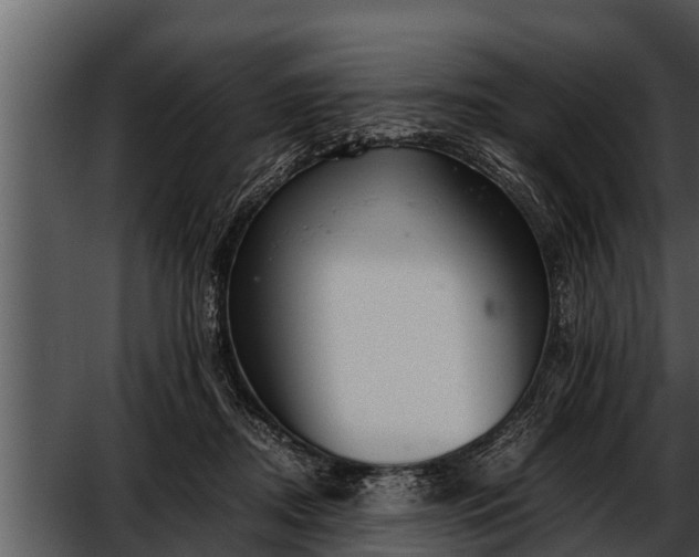 X0000052600362200507160017