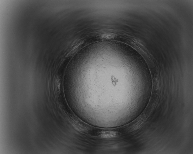 X0000052600363200507160017