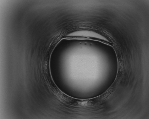 X0000052600365200507160017