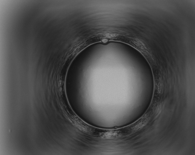 X0000052600366200507160017