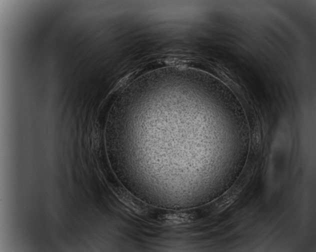 X0000052600367200507160017