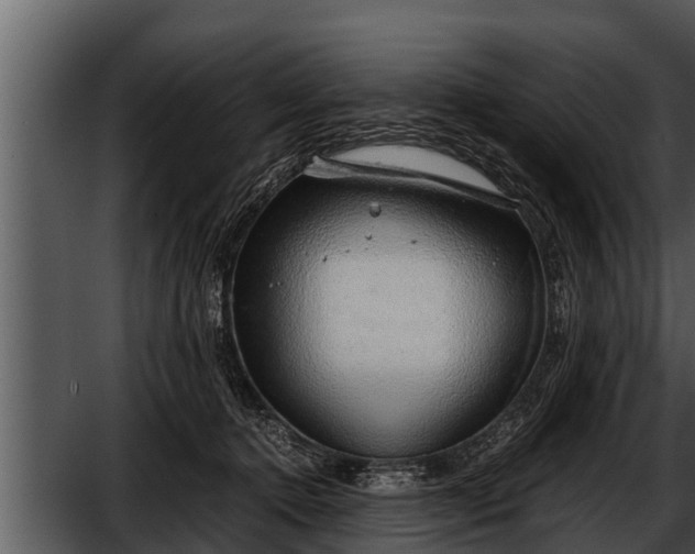 X0000052600368200507160017