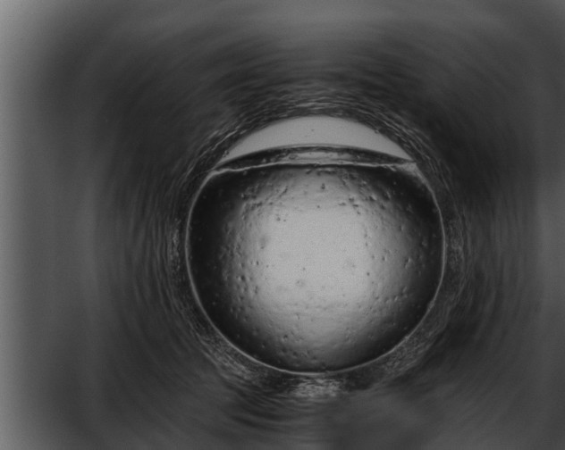 X0000052600369200507160017