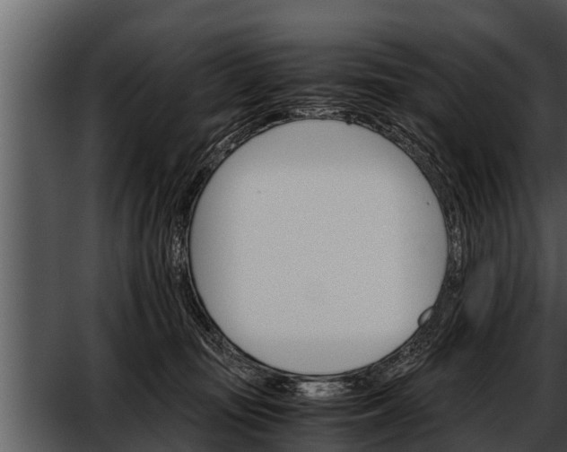 X0000052600371200507160017