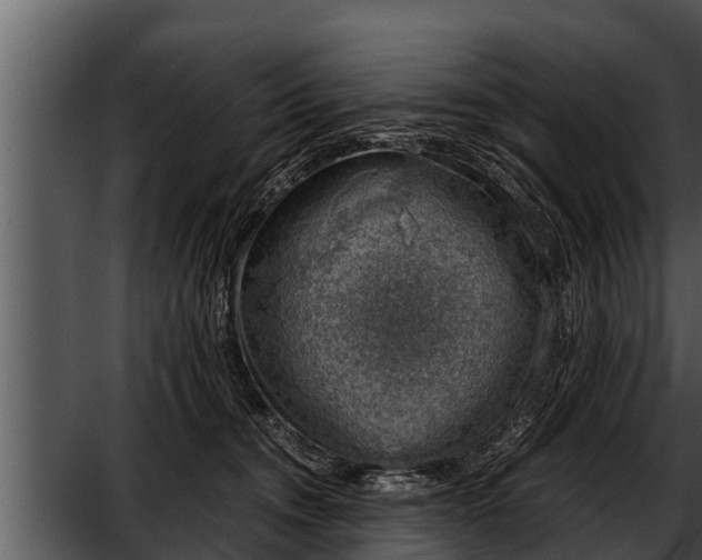 X0000052600372200507160017