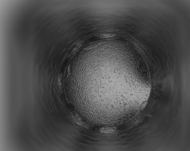 X0000052600373200507160017