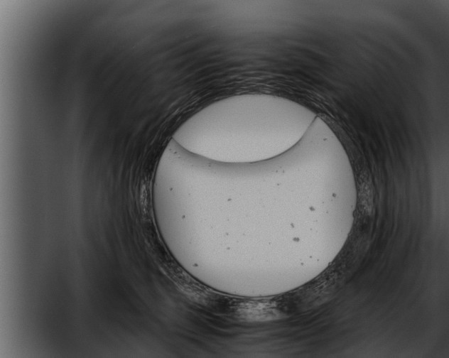 X0000052600375200507160017