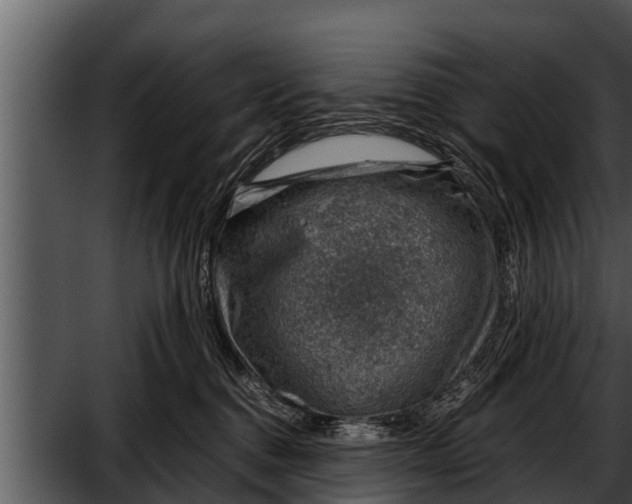 X0000052600376200507160017