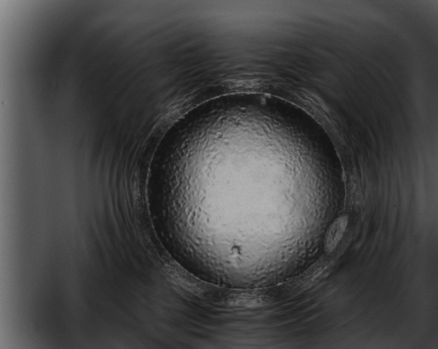 X0000052600377200507160017