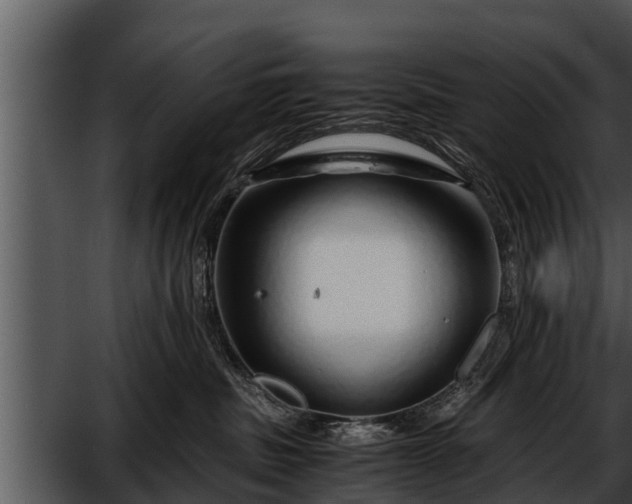 X0000052600379200507160017