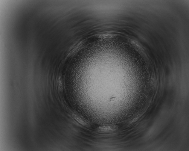 X0000052600381200507160017