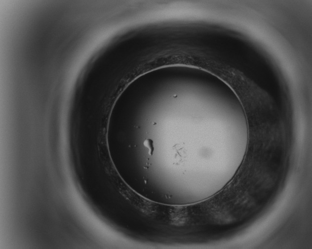 X0000052600382200507160017