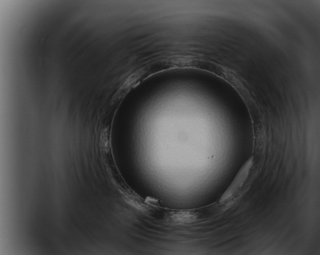 X0000052600383200507160017