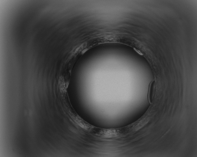 X0000052600384200507160017