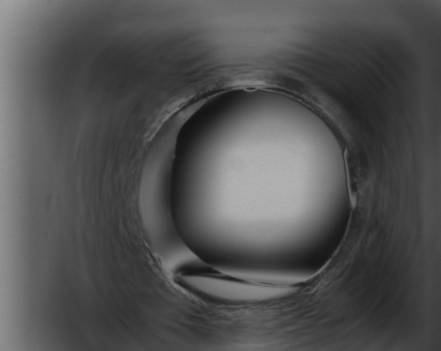 X0000052600385200507160017