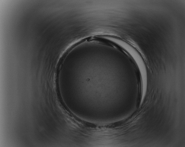 X0000052600387200507160016