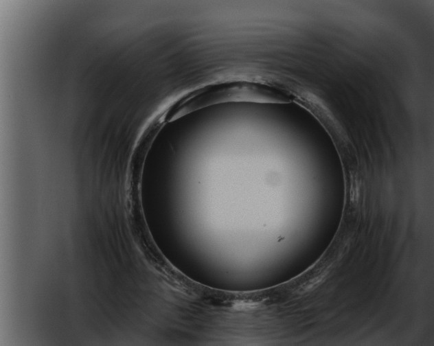 X0000052600388200507160016