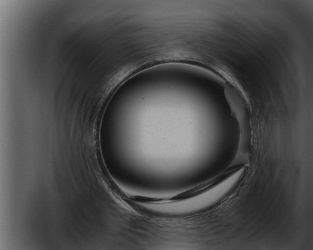 X0000052600389200507160016