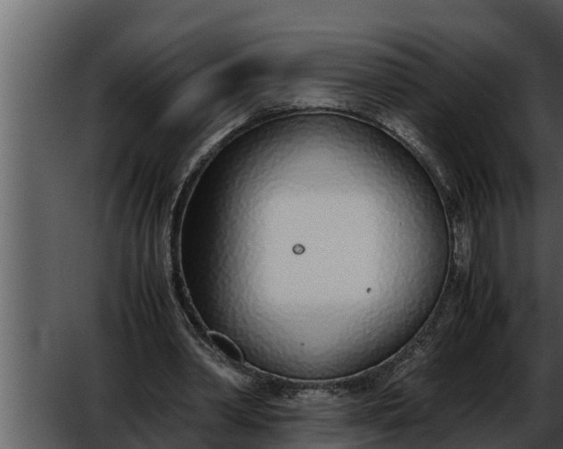 X0000052600390200507160016