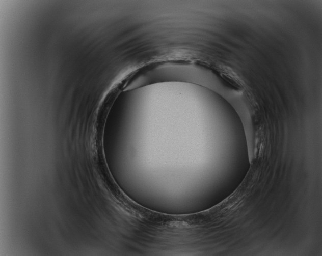 X0000052600392200507160016