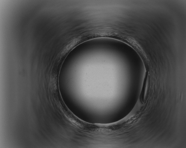 X0000052600393200507160016