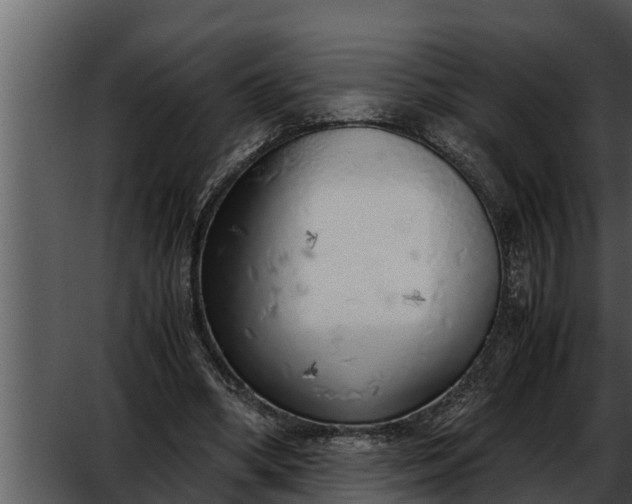 X0000052600394200507160016