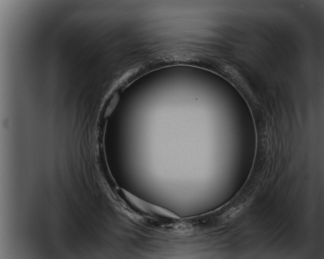 X0000052600395200507160016